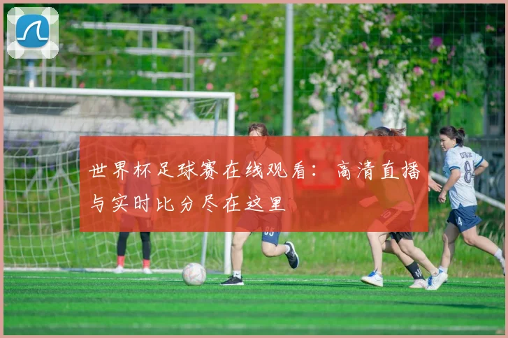世界杯足球赛在线观看：高清直播与实时比分尽在这里