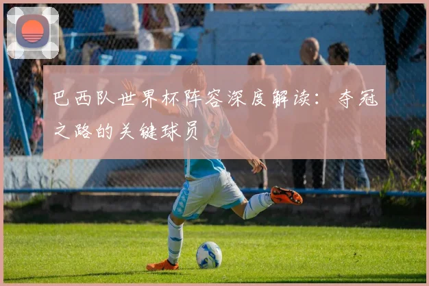 巴西队世界杯阵容深度解读：夺冠之路的关键球员